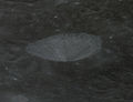 Cyrillus E, facing southwest, from Apollo 14