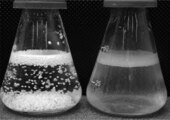 Comparison of emulsification using LLE and SIRs