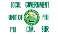 Flag of Pili