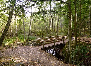 Judarskogens naturstig över kvarnbäcken.