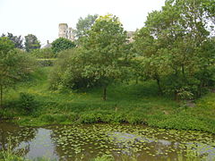 La rivière Romme s'écoulant devant le château de Champtocé.