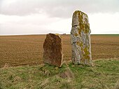 Menhirs des Longrais