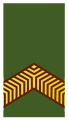 Korporaal (Royal Netherlands Army)[41]