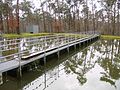 Versickerungsbecken zur Grundwasseranreicherung auf dem Kiessandrücken