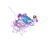 2cri: Solution structure of the MSP domain of mouse VAMP-associated proteinA