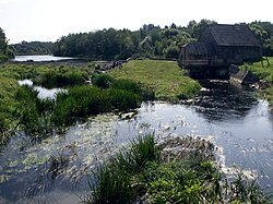 Hydroelectric power plant in Rudikiai