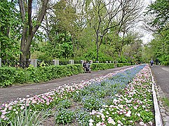 Parc public à Nova Kakhovka.