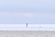 Estación polar rusa abandonada en Izluchina (costa nordés da illa Komsomolets; 81°N, 96°33’E)