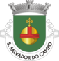 Brasão de armas de São Salvador do Campo