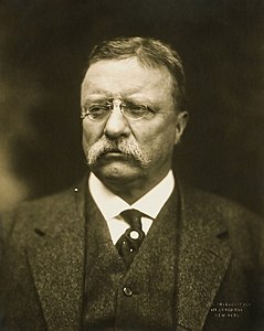 Theodore Roosevelt, by the Pach Brothers (restored by Crisco 1492)