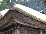 Thatched roof with snow, Japan