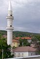 Mosque in the center