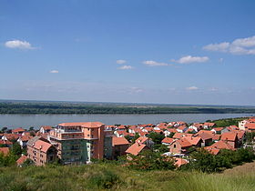 Višnjica (Palilula)