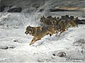 A Pack of Wolves, Private collection