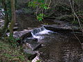 A small waterfall on the Caaf Water above the Lynn Spout