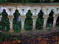 Detail of the cast iron railings at the Doggartland Bridge.