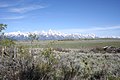 Tetons