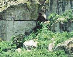 Guila Naquitz cave