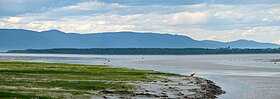 L'île aux Grues