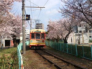 春の城北線（清水町付近）