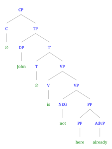 Syntax tree of (1c) John is not here already (negative)