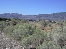 Semi-arid shrubland east of Osoyoos