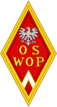 Нагрудный знак курсантов училища в 1950-е — 1960-е годы