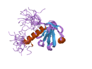 2dlw: Solution structure of the IRS domain of human docking protein 2, isoform a