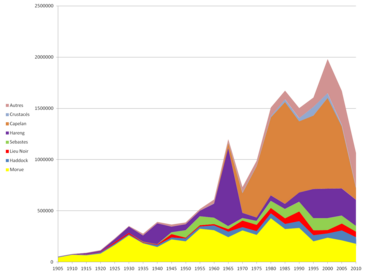 Évolution des prises des principales espèces entre 1905 et 2007