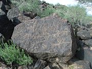 This Hohokam Petroglyph is that of a "scene". In the far right hand corner of the Petroglyph the Hohokams sketched two deers bumping heads.