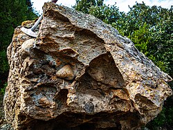 Tafoni in conglomerate rock, Corsica.