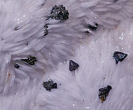 Tétraédrite sur Barite - Mine des Malines - Gard - France (XX 2mm)