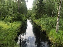 Река Суованйоки. Вид по течению