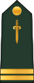 Lieutenant (Central African Ground Forces)