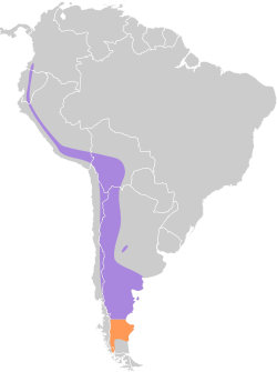 Distribución geográfica del gaucho serrano.