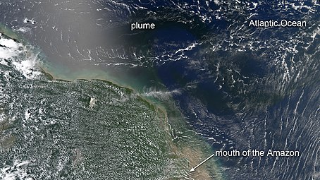 Blooms flourish in a dark plume of nutrient-rich water pouring from the mouth of the Amazon River, as seen by NASA's Aqua satellite.[16]
