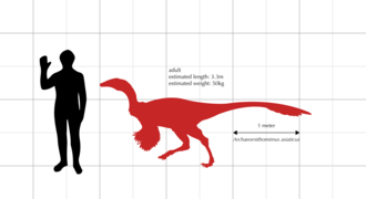 Archaeornithomimus asiaticus size comparison