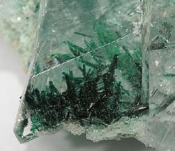 Atacamite needles enclosed in clear Gypsum, Lily Mine