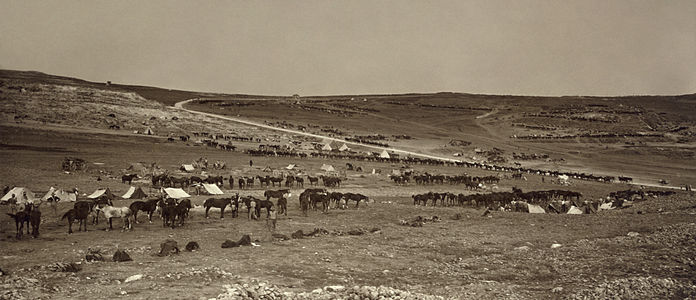 Australian military encampment at Australian Light Horse, by American Colony Jerusalem (edited by Durova)