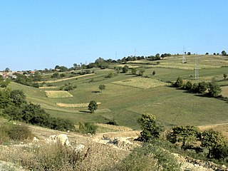Fields between Sfânta Elena and Gârnic