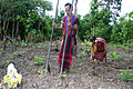 Image 20Brao couple farming (from Culture of Laos)