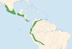 Distribución de Streptoprocne rutila