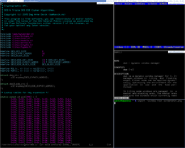 Screenshot di DWM 3.0 su Gentoo GNU/Linux