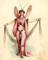 Pink Butterfly Elf 1890