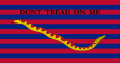 South Carolina naval ensign