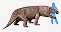 Erythrosuchus