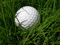 Golf ball grass