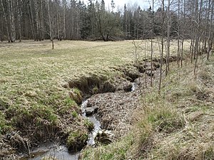 Dalgången med Ormkärrsbäcken.