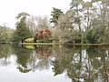 Lake and rhododendrons