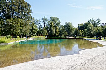 Nichtschwimmerteich